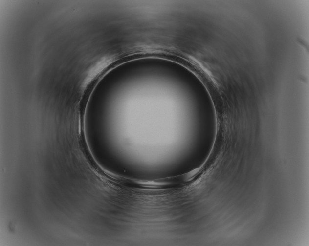 X0000091471269200708231330