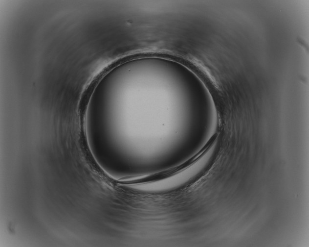 X0000091471270200708231330