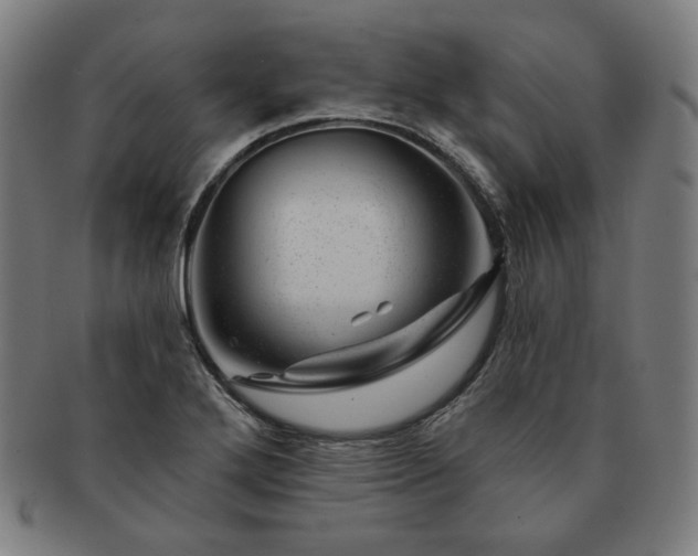 X0000091471272200708231330