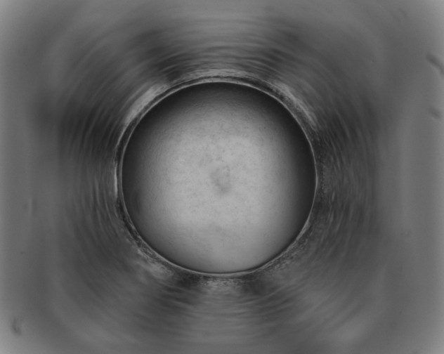 X0000091471274200708231330