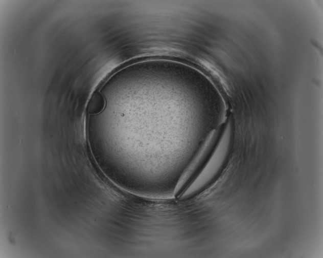 X0000091471275200708231330