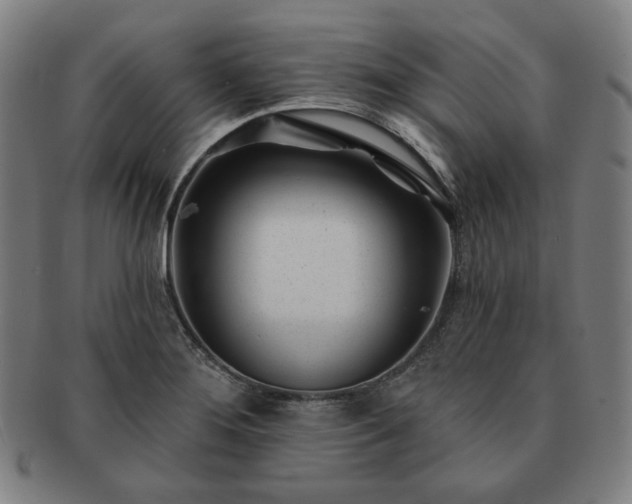 X0000091471276200708231330