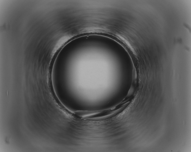 X0000091471277200708231330