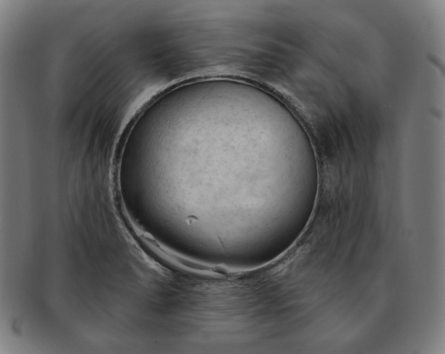 X0000091471278200708231330