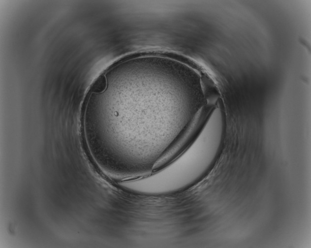 X0000091471279200708231330