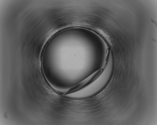 X0000091471280200708231330