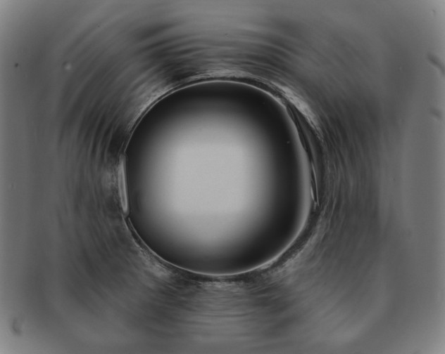 X0000091471281200708231330