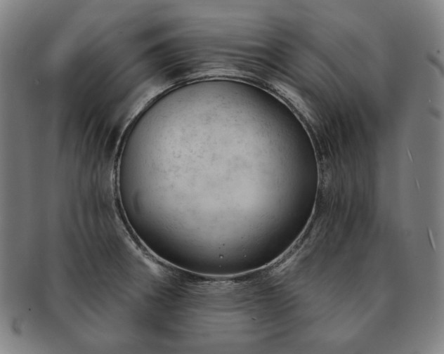 X0000091471282200708231330