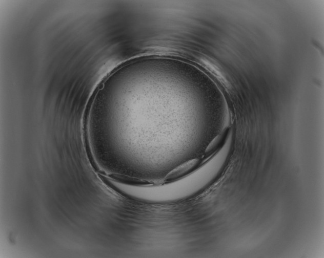 X0000091471283200708231330