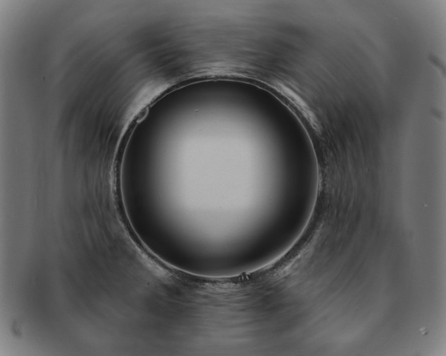 X0000091471285200708231330