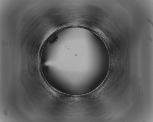 X0000091471286200708231330