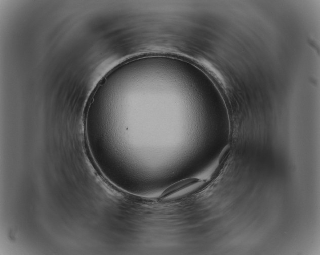 X0000091471287200708231330