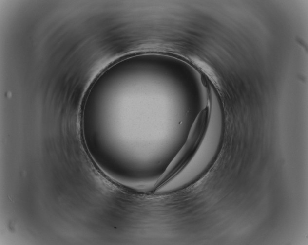 X0000091471288200708231330