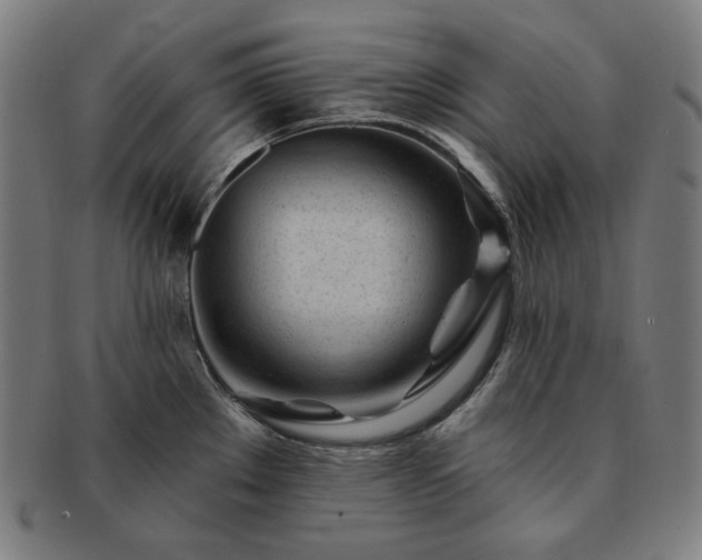 X0000091471289200708231330