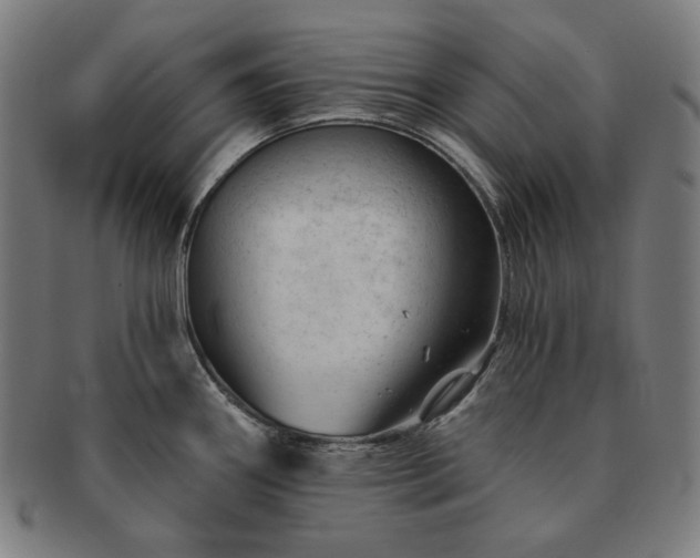 X0000091471290200708231330