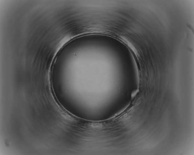 X0000091471291200708231330