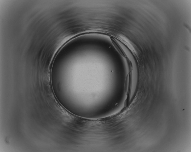 X0000091471292200708231330