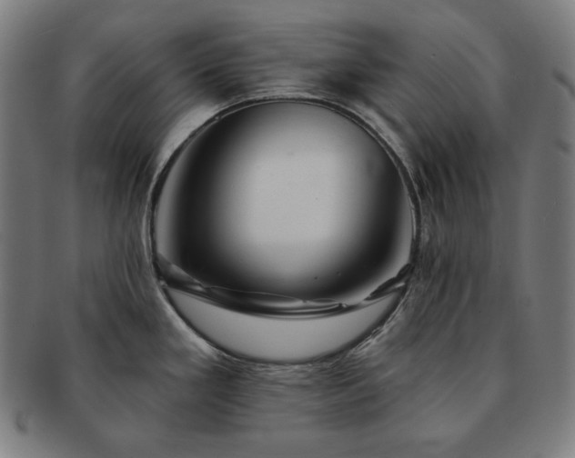 X0000091471293200708231330