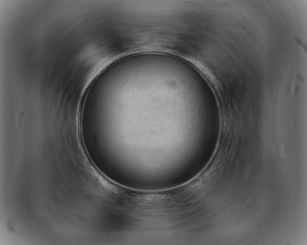 X0000091471294200708231330