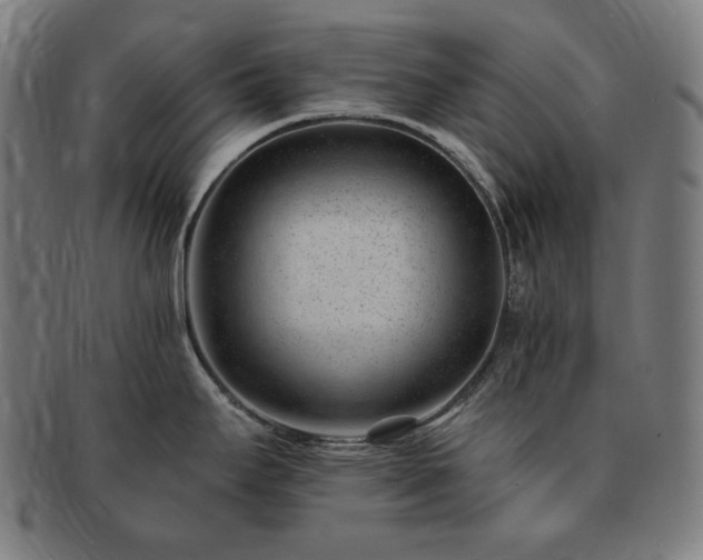 X0000091471295200708231330