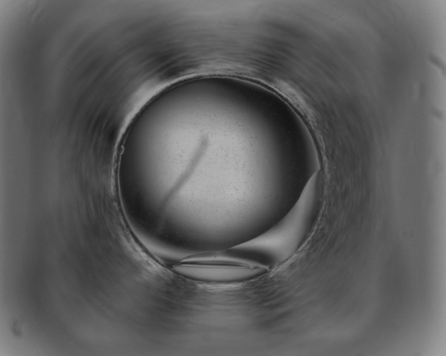 X0000091471296200708231330