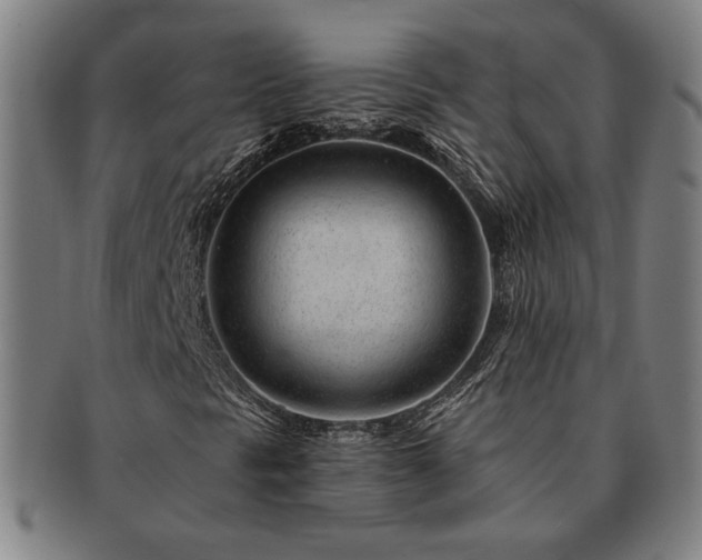 X0000091471297200708231329