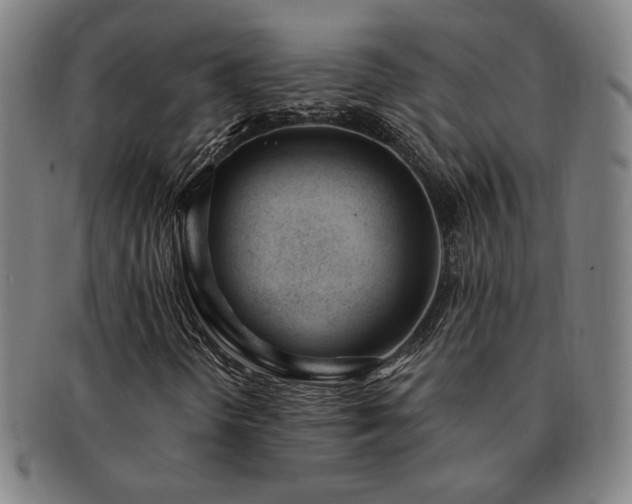 X0000091471298200708231329