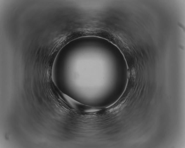 X0000091471300200708231329