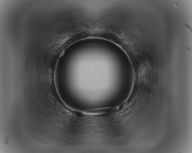 X0000091471301200708231329