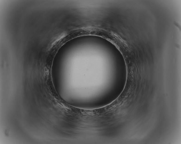 X0000091471302200708231329