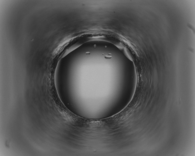 X0000091471304200708231329