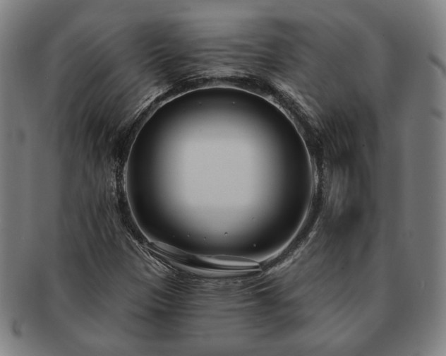 X0000091471305200708231329