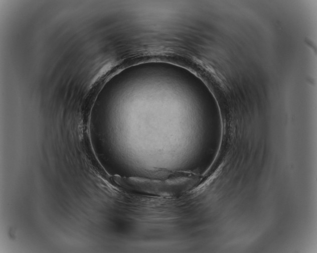 X0000091471306200708231329