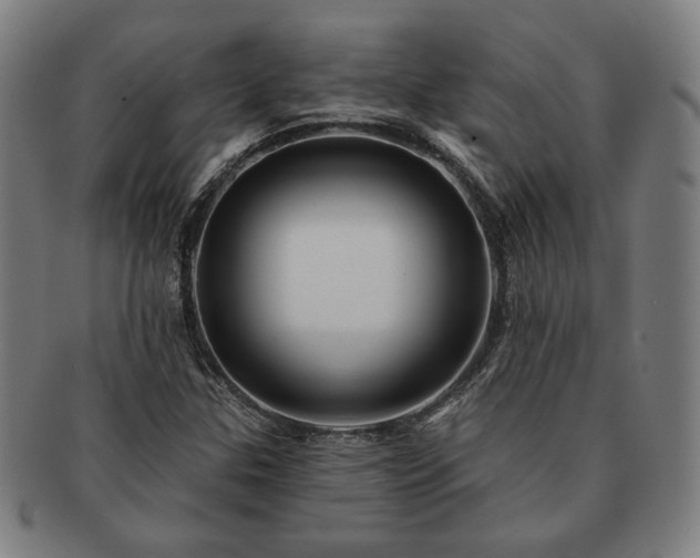 X0000091471307200708231329