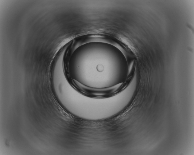 X0000091471308200708231330