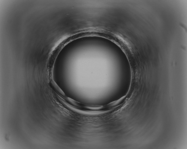 X0000091471310200708231330