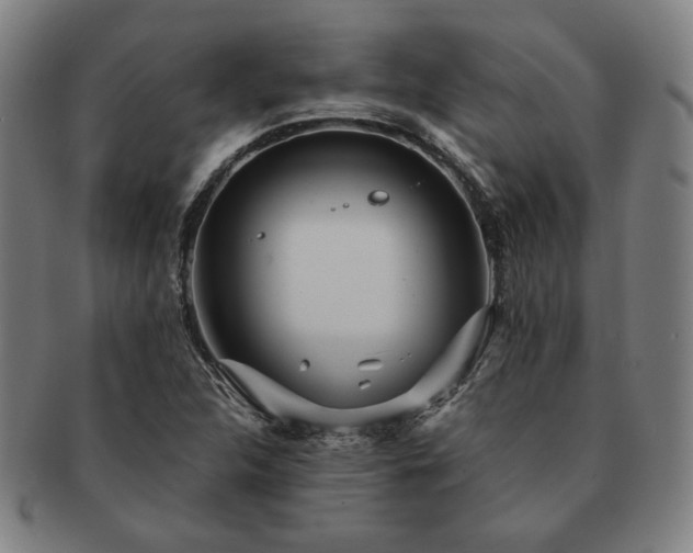 X0000091471312200708231330