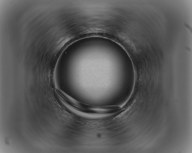 X0000091471313200708231330