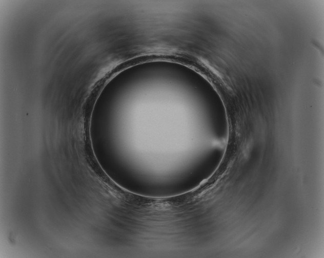 X0000091471315200708231330