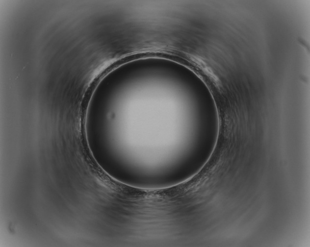 X0000091471316200708231330