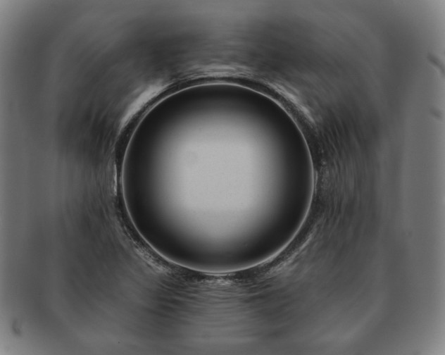 X0000091471317200708231330