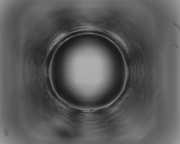 X0000091471318200708231330