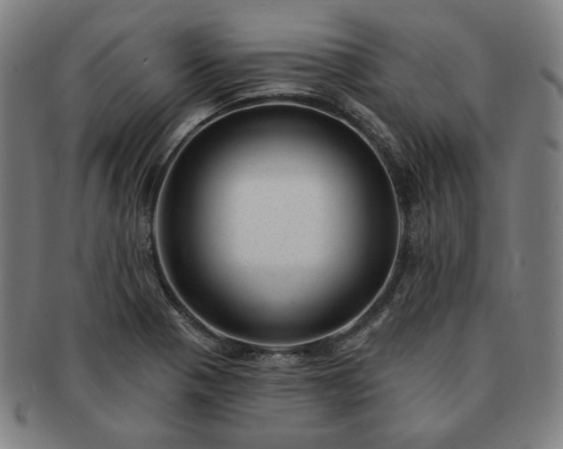 X0000091471321200708231330