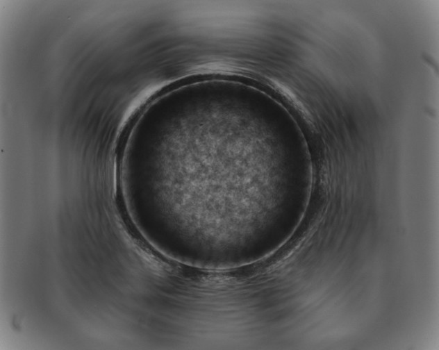 X0000091471323200708231330