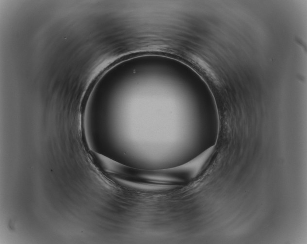 X0000091471324200708231330