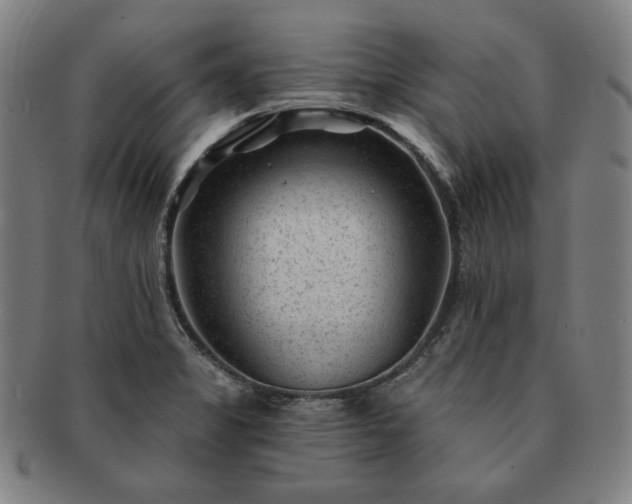 X0000091471325200708231330