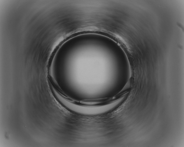 X0000091471326200708231330