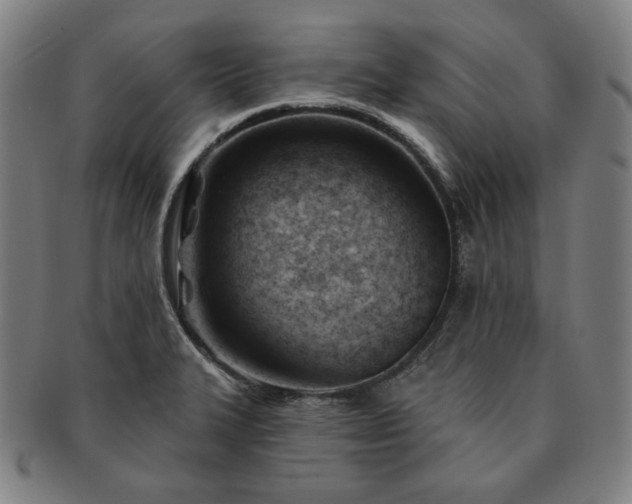 X0000091471327200708231330