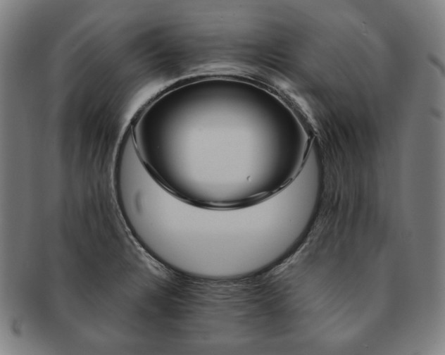 X0000091471328200708231330