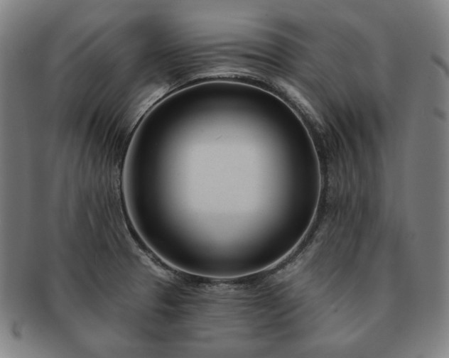 X0000091471329200708231330